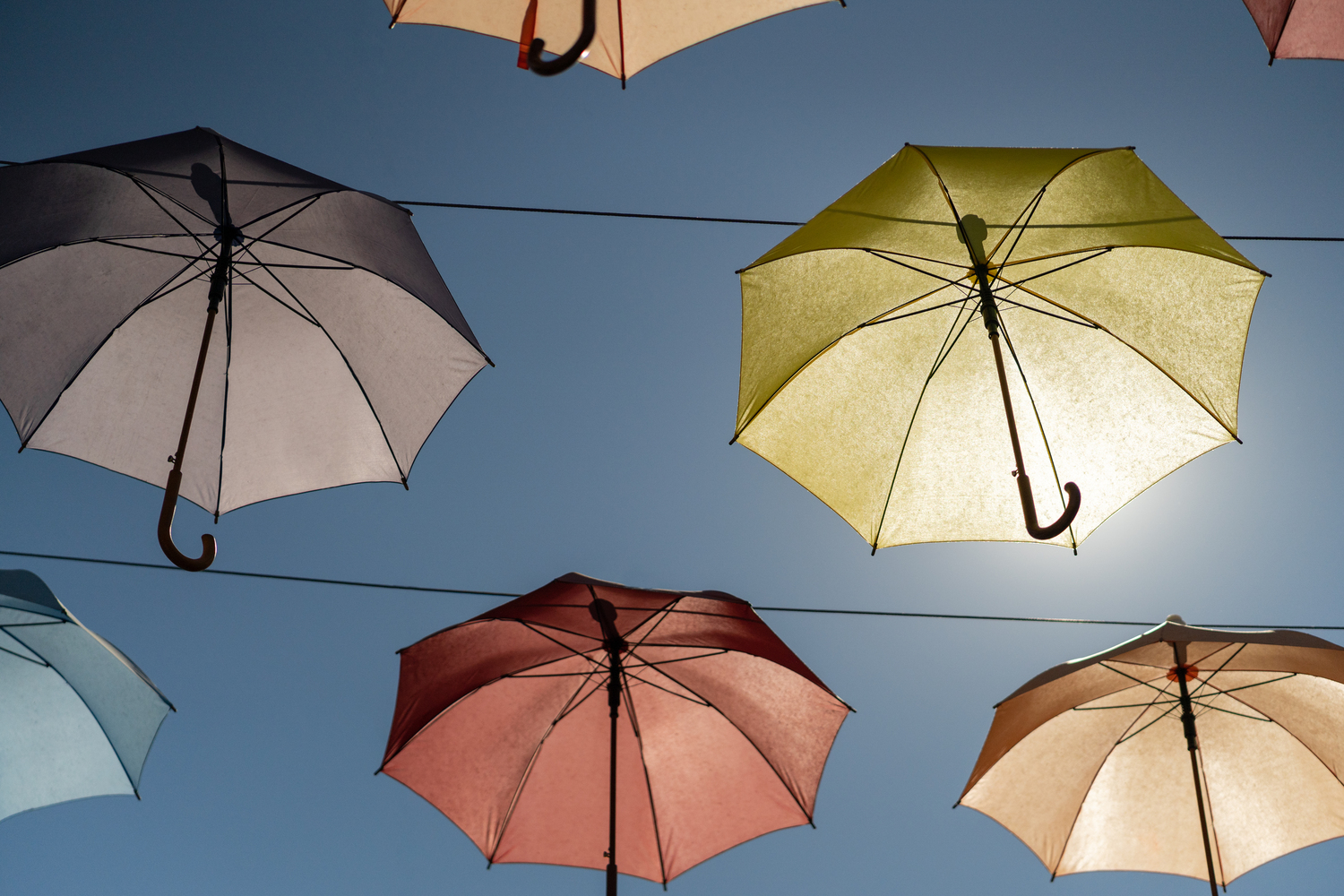 Colección variada de regalos promocionales sobre fondo claro, representando opciones para empresas y estrategias de marketing